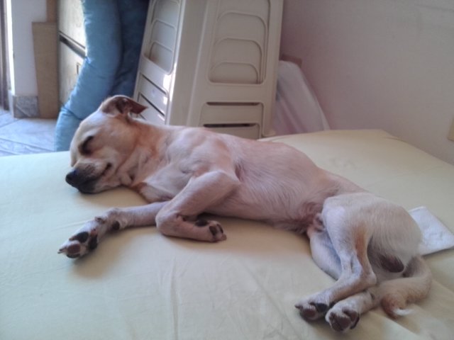 jesipomar's tweet image. Que fiaca!!!! #Thilo ♡♡