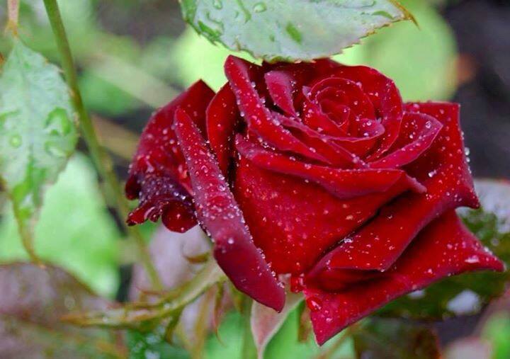 zanid2781's tweet photo. @AaaaBbb07232859 https://t.co/xNREWYjzjG