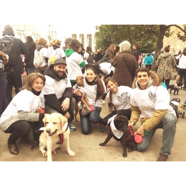 San perrestrados!!! 🐶🐶🐶 #Sanperrestre #Neko #Simba #Piti