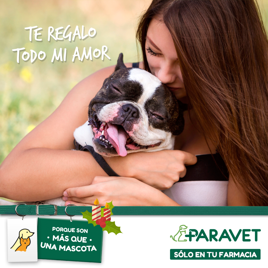 Paravet_Spain's tweet photo. ¡Esto sí es un regalo para nuestros peludines! https://t.co/XTU2nf7Lpd