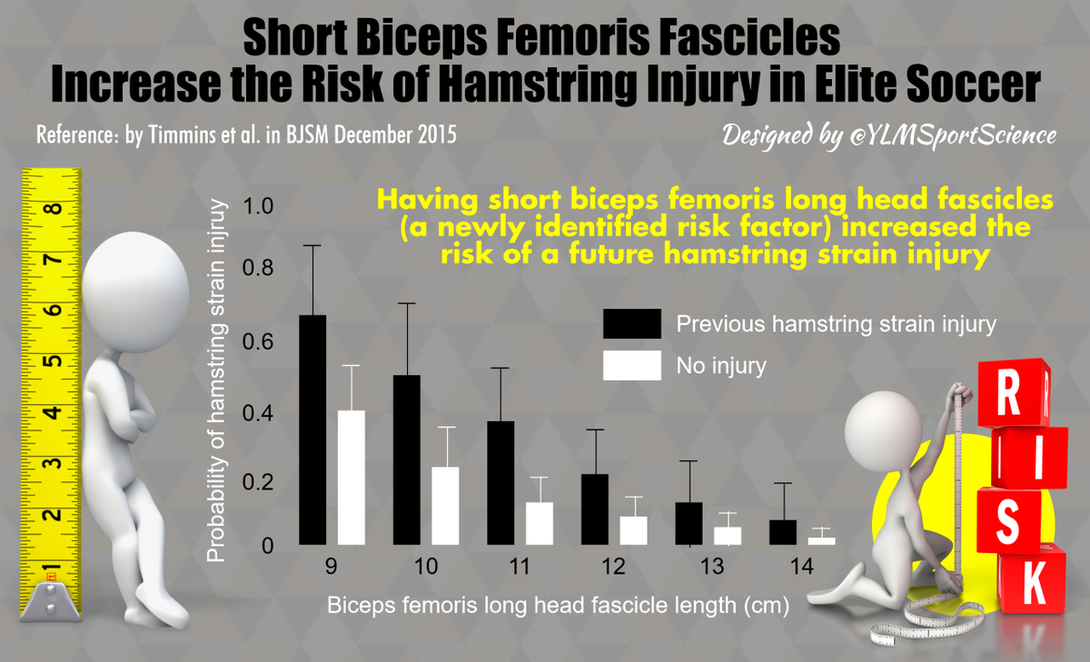 YLMSportScience's tweet photo. 🚨 A good argument for eccentric training to reduce the risk of hamstring injury in soccer ▶️ https://t.co/oEPS2QFShB https://t.co/qhboItUZVr