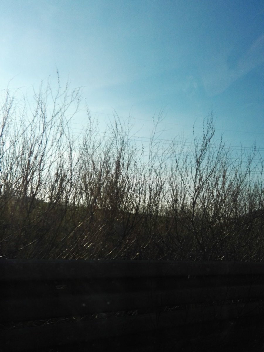 Grad unterwegs zur thirgalerie :-)