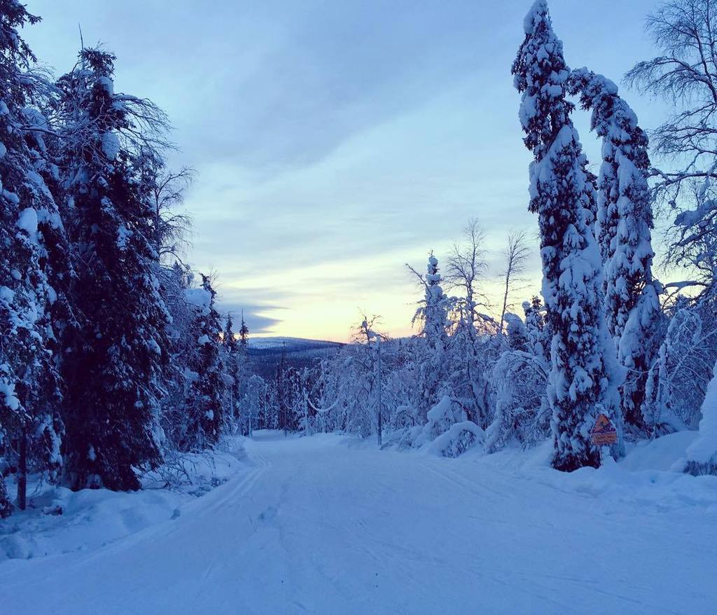 ZandaZeidmane's tweet photo. Ziemas pasaka #Lapzeme #adventurelablv https://t.co/uwFPMHcRYc https://t.co/FtBH0MlZUs