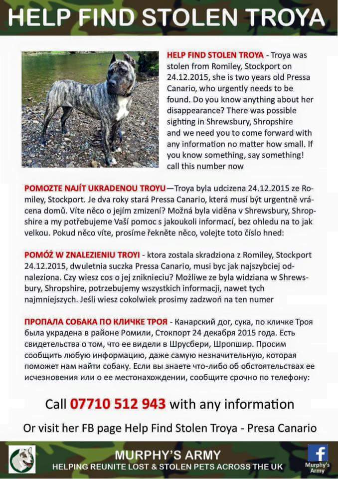 tasmintruffles's tweet photo. @Polish_Ambass Pls retweet to your followers #GetTroyaHome #Stolendog #PresaCanario, @findmurphyhusky  https://t.co/4FmG9ibN1C