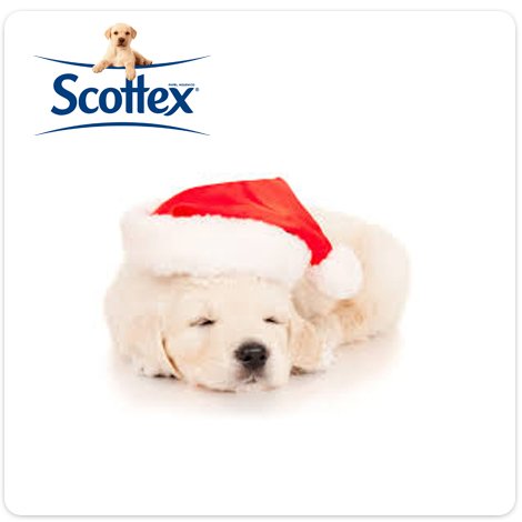 ¡Queda poco para despedir el año! ¿Has pensado ya en tus propósitos para el 2016? #NavidadScottex
