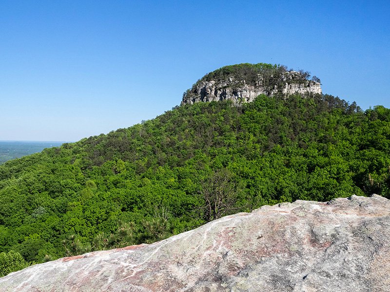 NCparks's tweet photo. Piedmont Land Conservancy helps expand Pilot Mountain State Park with land deal: https://t.co/a1nnk1NgoB https://t.co/eDIf7jG53B