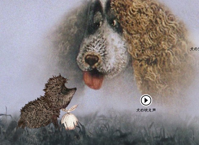 アニメーション 映画 霧の中のハリネズミ はどうやってできたか インフォグラフィック ｍｉａ ロシア セヴォードニャ 制作 Sputnik 日本 Scoopnest