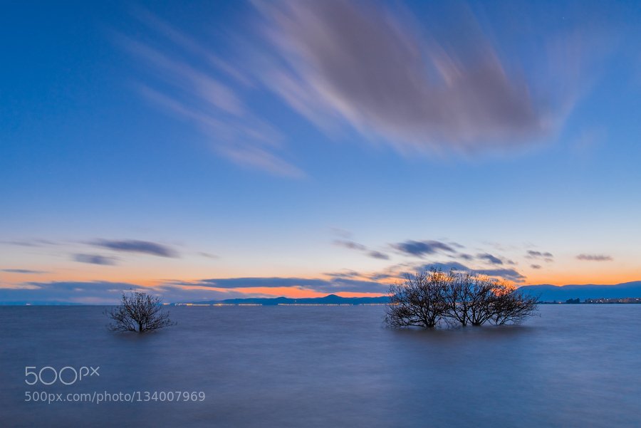 Randallr75's tweet photo. #Photography | 两棵 | #PhotoOfTheDay #Travel #Photo https://t.co/h2fv23rWUu