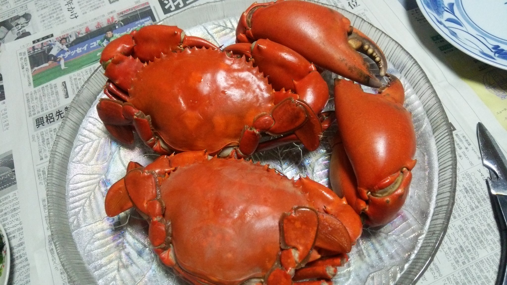 高原 リサ 今日は蟹食べた ツメが大きい 美味しかったけん食べるのめんどくさい 笑 あと伊勢海老の炒飯作ってみた 味噌汁は安定の美味しさ T Co Urrramfi0p Twitter