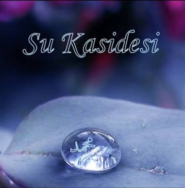 tugba aycil tugba aycl twitter