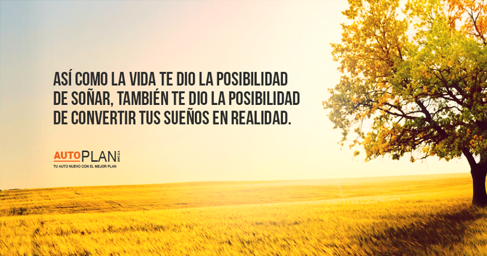 AutoPLAN tweet media