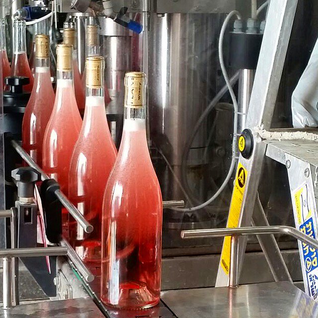 An all around exciting day here at #flamwinery! Bottling the Flam Rose 2015 #behindthescenes