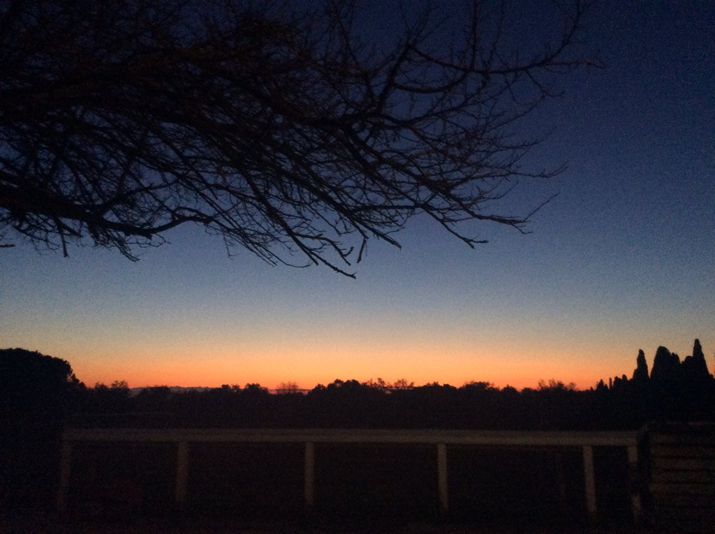 border975's tweet photo. Due cose mi placano a questo mondo: il Silenzio e il Tramonto. E qui ci sono entrambe. #bolgheri https://t.co/kR3eaZds4y