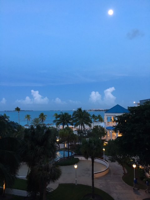 CCChampagne's tweet photo. #ThatMoment #ReasonForEverything #Inspiring #ReadWorldWide
Sharing #ThatMoment in Nassau https://t.co/LjvJCIAP9R https://t.co/bDAVoz3K8K