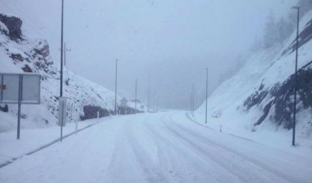 Segob declara emergencia en 22 municipios de Sonora - CXf3iHkU0AAfwDH