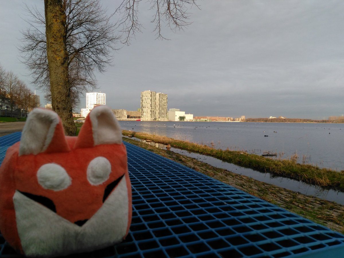 DrBoxfox's tweet photo. Did you know that the Dutch city of #Almere is between 20 and 50 #Boxfox heights (2~5 metres) below sea level? https://t.co/VdNkeDnsRI
