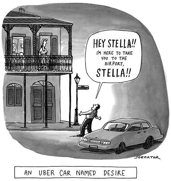 cannonbosarge's tweet photo. Stella! @StellaMAllen https://t.co/nWqFfNieqH