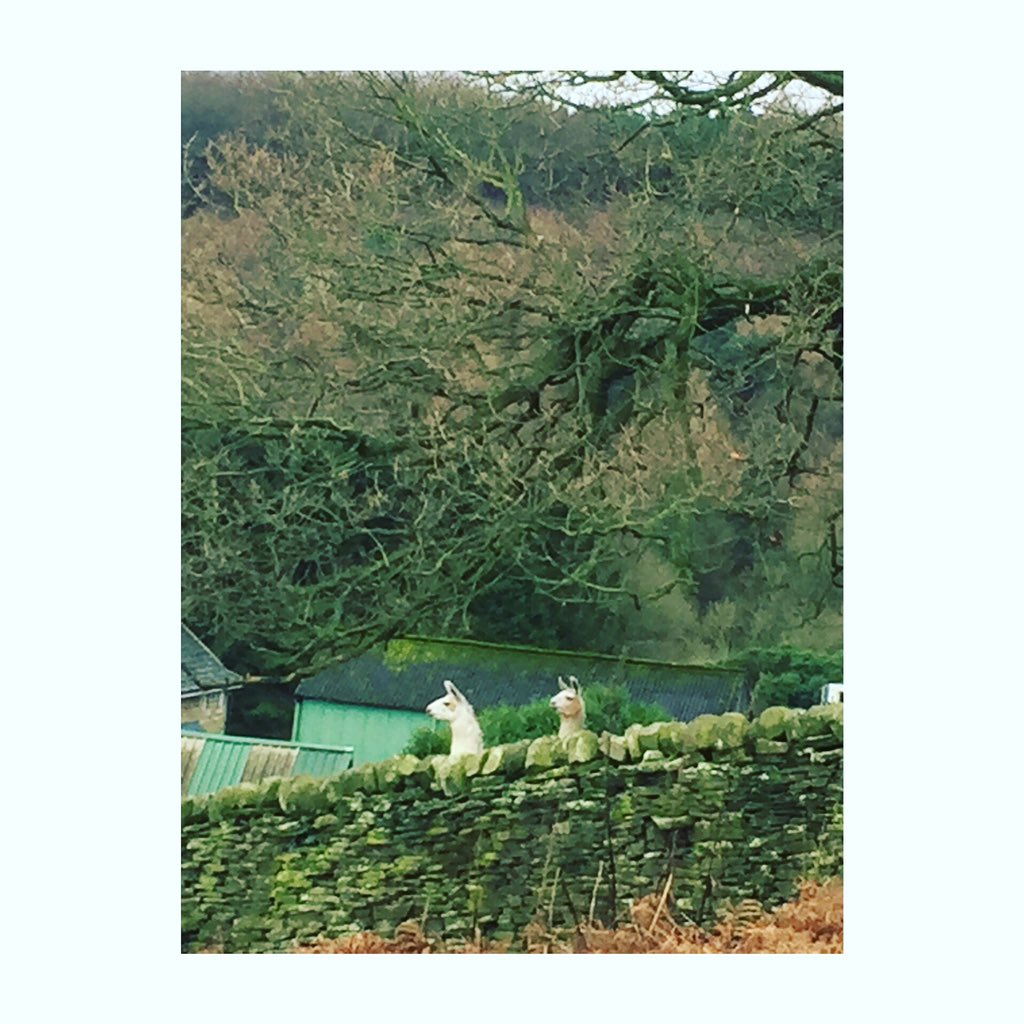 Oh hi guys!! 🙃😍😶