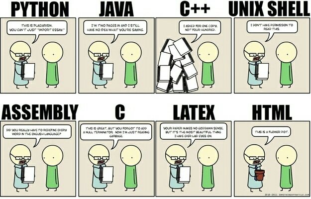 RajInWonderland's tweet photo. The bit on assembly lol #cs #c #python #assembly #latex #java #unixshell #html #programmers #novvum #development https://t.co/4xI5OzsYW4