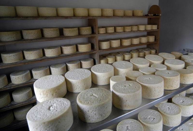 cabrales_dop's tweet photo. El olor del #queso de #Cabrales es intenso y penetrante. #Asturias #dop
https://t.co/wLEK46FIcK https://t.co/Td2SdP8s0D