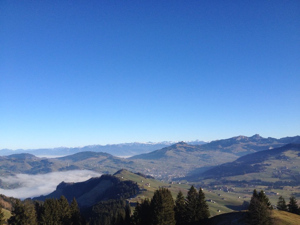 CosyCooking's tweet photo. Für all jene, die heute im Nebel ausharren mussten. #hundwilerhöhe #appenzellerland https://t.co/3fJ8wEsnS9