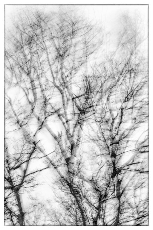 oneimageaday's tweet photo. The wind on the edge of Storm Frank: https://t.co/wNSk8TzqAn #wolds #blackandwhitephotography https://t.co/SVR1tAJKug
