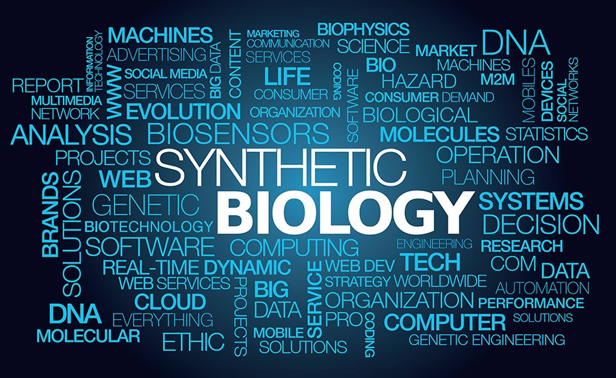 TwistBioscience's tweet photo. What a year for #synbio! Check out our Top 10 highlights of 2015 https://t.co/1EqaMUG3Os
#synbio2015 https://t.co/WMkcaC6Nk2