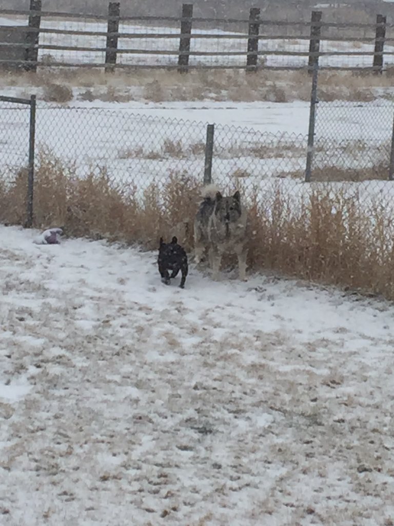 JavaJunkie76's tweet image. Having a little fun with my brother. 💜