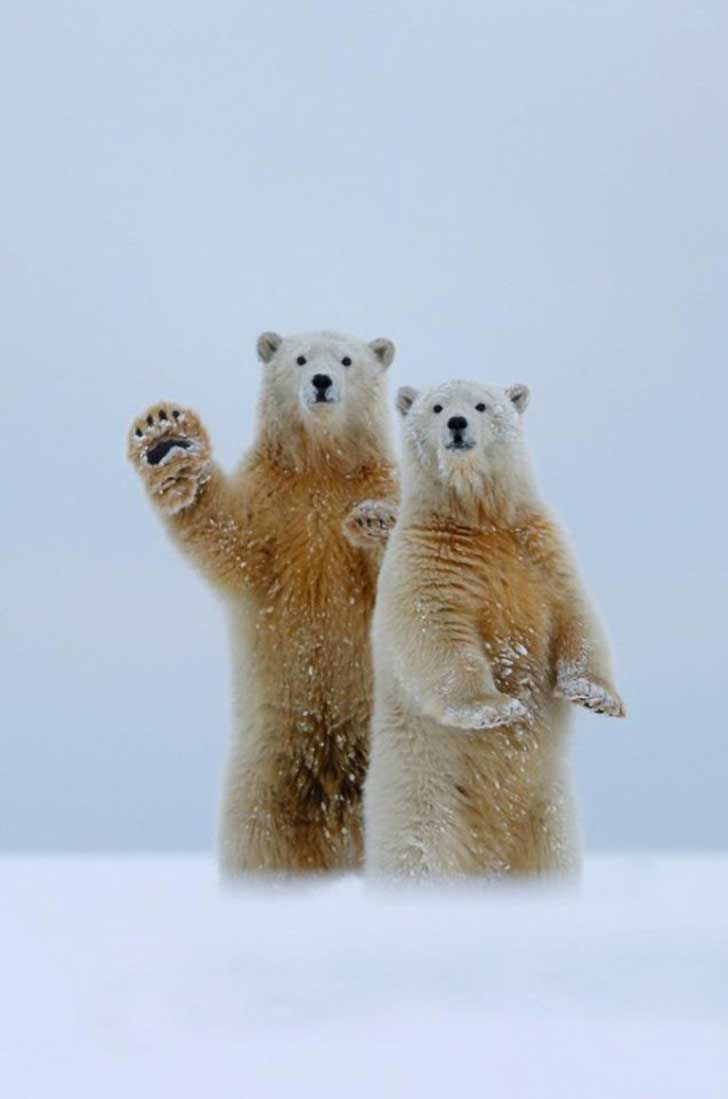 appsuperhelp tweet picture