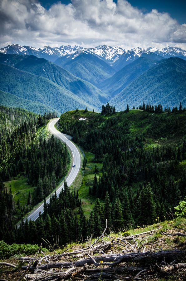 HikingViews's tweet photo. Olympic National Park https://t.co/8ZVwbwD2Xz