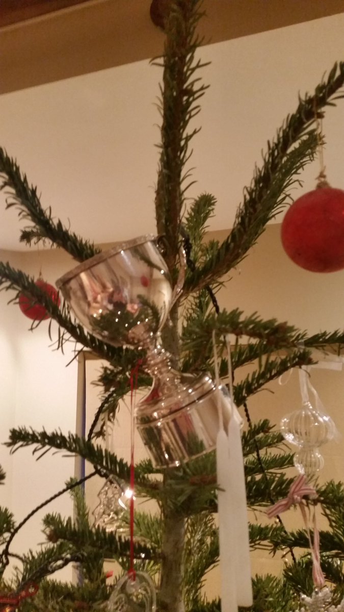 "Best Christmas decoration .... ever" - Luke J