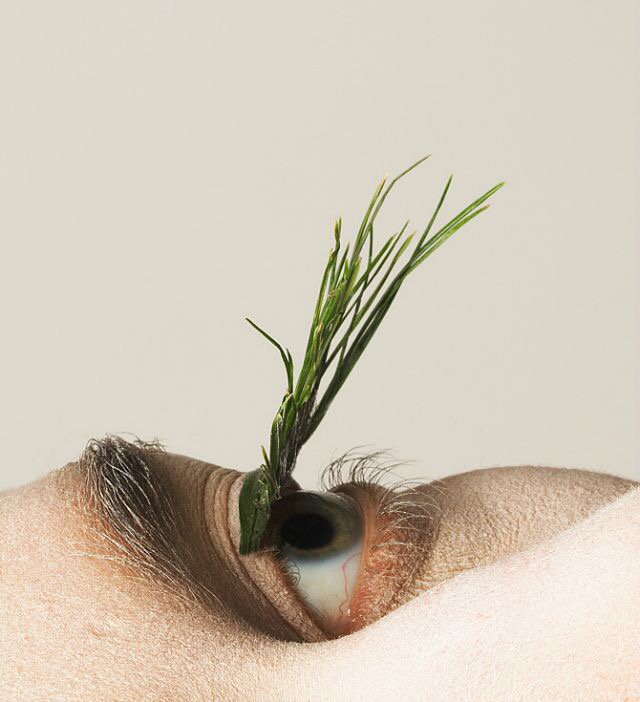 E8byMiista's tweet photo. Mary Graham replaces false eyelashes with foraged plants. 🌱 #marygraham #inspo via: @artsxdesign 🌾 https://t.co/h2ik5pAsvq