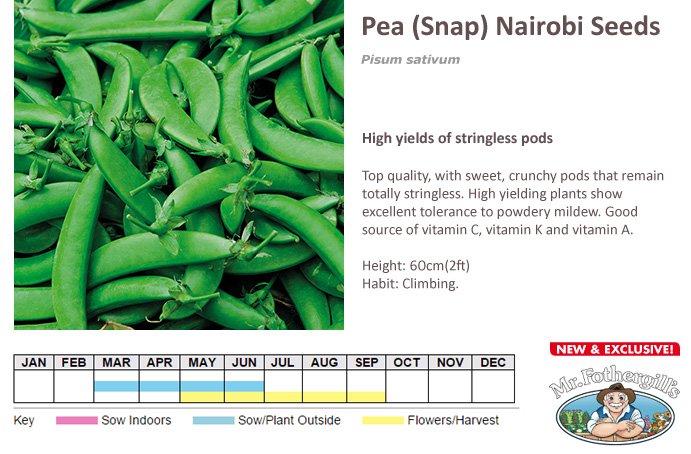 mr fothergills Pea snap Nairobi Seed