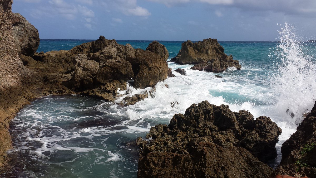 GreatHutsResort's tweet photo. What does your view look like today? #GreatHutsResort #Portland #Jamaica https://t.co/6hb1T00fRX