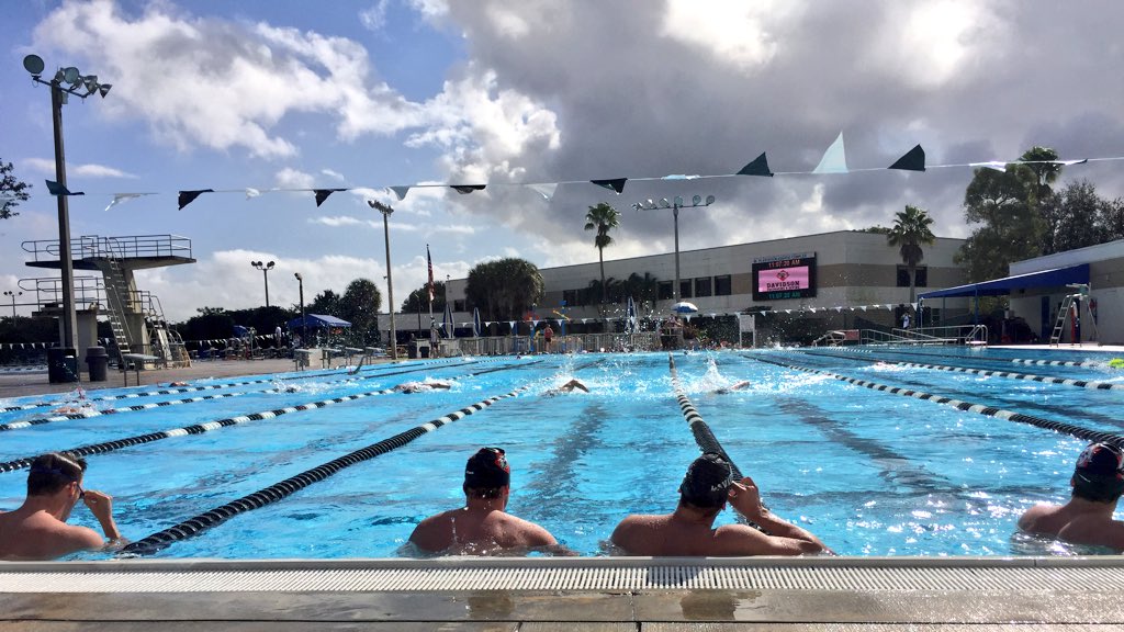 Cats_SwimDive's tweet photo. Getting work done in the Florida sun! https://t.co/ZZD4Q6SaKx