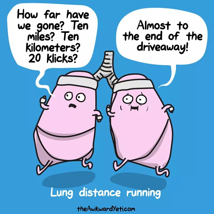 TWRMexOFICIAL's tweet photo. Ningún #twitterrunner en época navideña... ¿o sí? https://t.co/fVBs5mFuwG