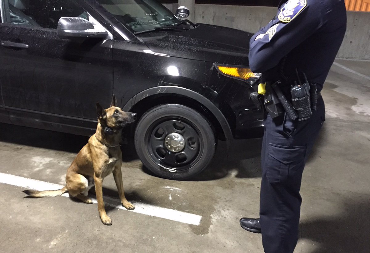 So,if you recall when we last spoke...Wait, what??Thats water I swear.Prove it!!! #tedsK9adventures #messinwithsarge