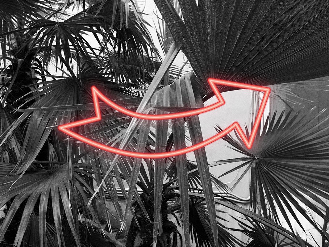 Enjoy 2016 Into Stoas eepurl.com/bK-cPD