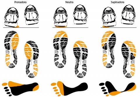 ▶️ Hay un tipo de pisada para cada corredor, identifica cual es la tuya y utiliza zapatillas adecuadas 👟👣🏃 #running