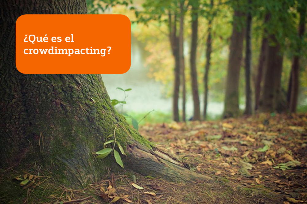 Bankinter's tweet photo. Lo último: El crowdimpacting ¿Qué es?¿Aún no sabes como funciona? https://t.co/6Peq7UPiKA https://t.co/MAlWK5mtRQ