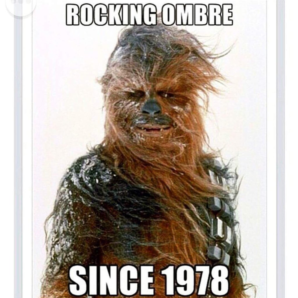BELLEHAIRSALONS's tweet photo. Have you seen #StarWars yet? Come to our #salon for #chewbaca #style #hair. #balayage #ombré 
Sms 07903718780 https://t.co/Prr8sPsnre