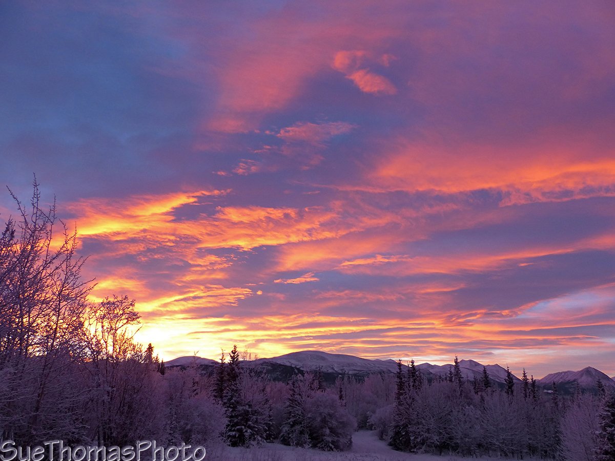 Another brilliant morning in Yukon - Ibex Valley at 9:50 am