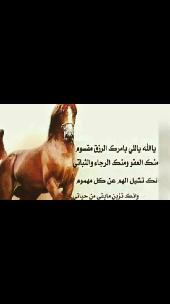 uossof66's tweet image. 