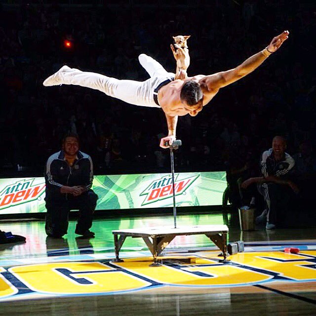 CAStoinev's tweet photo. Me and my dawg! #HalftimeShow #NuggetsGame https://t.co/omp5DFbnUo