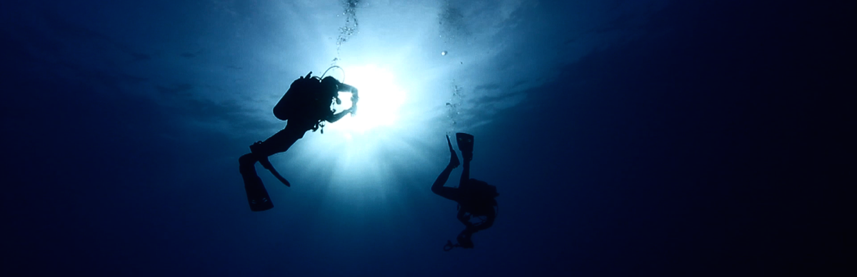 BigBoxfish's tweet photo. @OnLocationOcean Thanks for following #bigboxfish. Watch our film https://t.co/tCuOIrqxR4 Next #Maldives and #Mexico https://t.co/vTZbkW0QKE