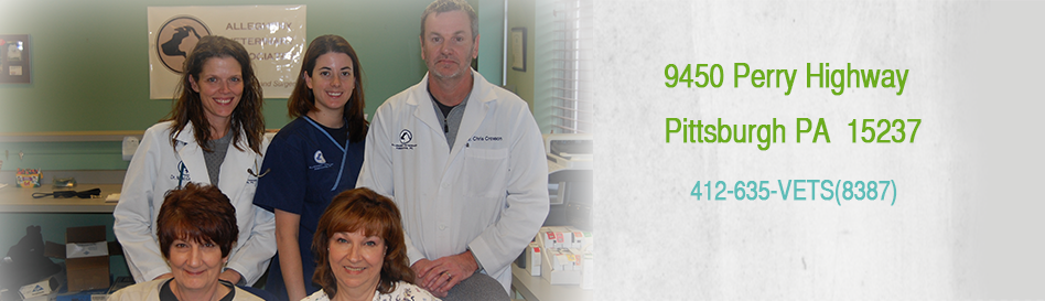 AlleghenyVet's tweet image. Why Choose AVA? Well, for lots of reasons. For starters, we passionate about caring for your pets, and family-owned.