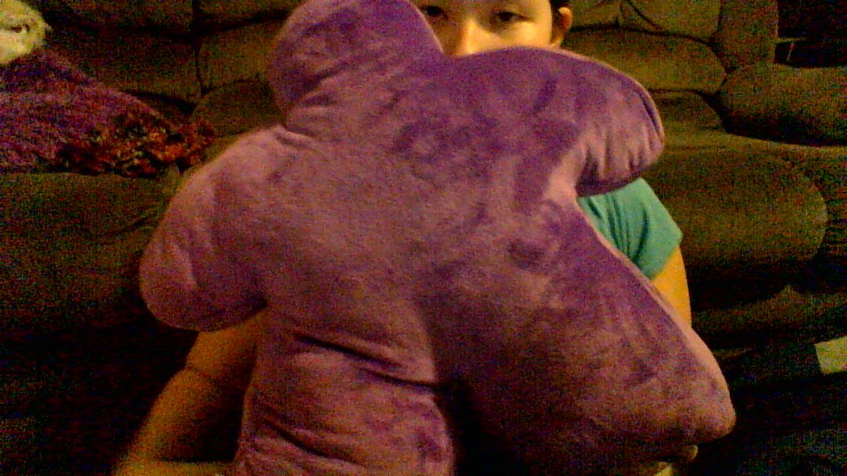 demonbunny's tweet photo. my meepillow finally came! #socute #waiting #purple #topshelffun https://t.co/Iz65C6ATfa