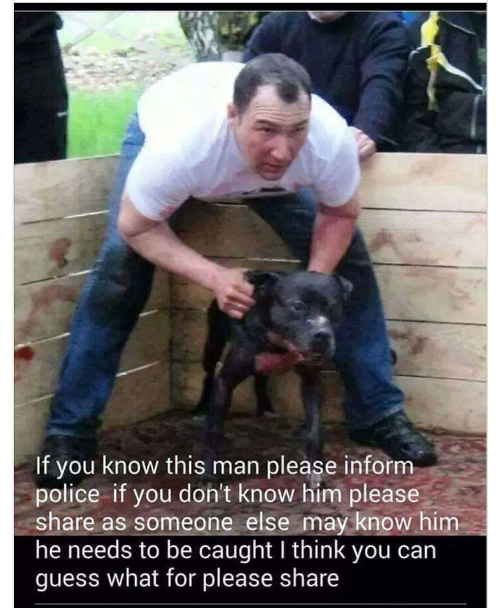 snoopytheonly's tweet photo. Share this piece of SHIT all over twitter so he can be caught......... https://t.co/QItNyXtOiN