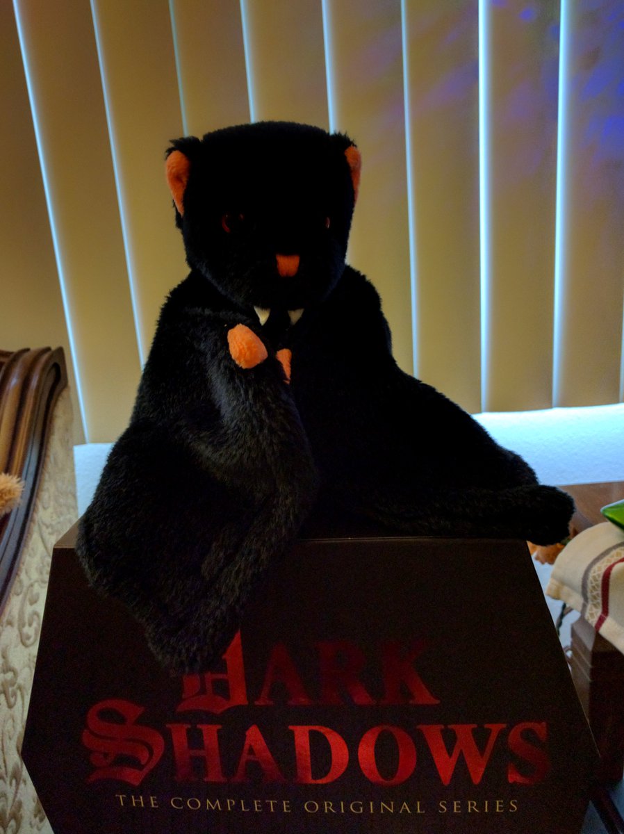 MarkStephensonA's tweet photo. I actually have a #FruitBat standing guard over my #DarkShadows collection! https://t.co/TgxK43SBj2
