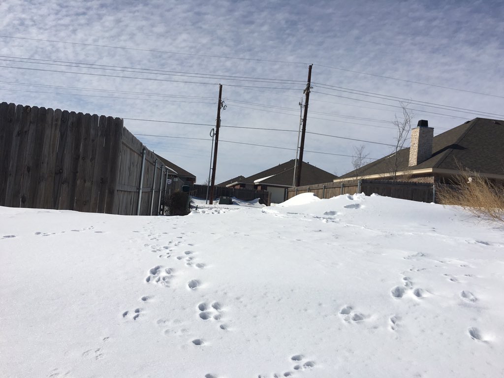 caprockresponse's tweet image. 